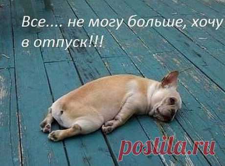 Галина Кабанова