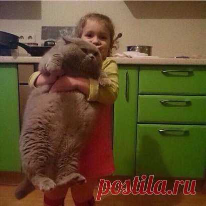 Знакомьтесь! Это мой Пушок! Он за меня по утрам ест кашу!