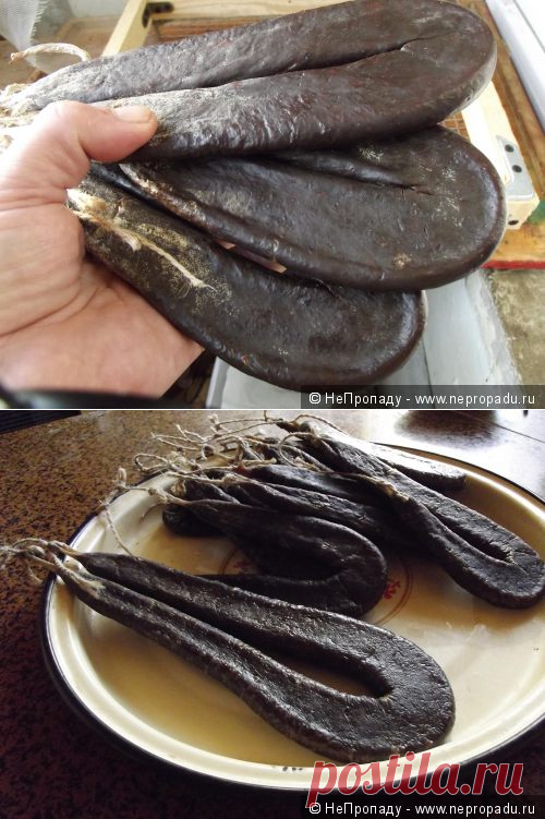 Дешёвая сыровяленная / Полевая кухня / НеПропаду