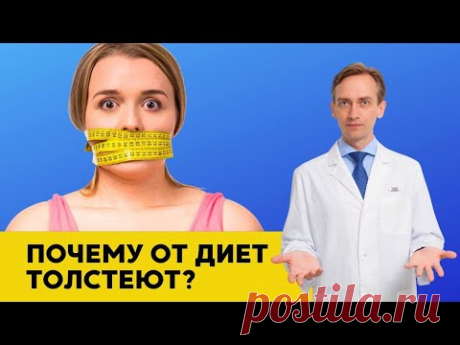 Почему от диет толстеют?
