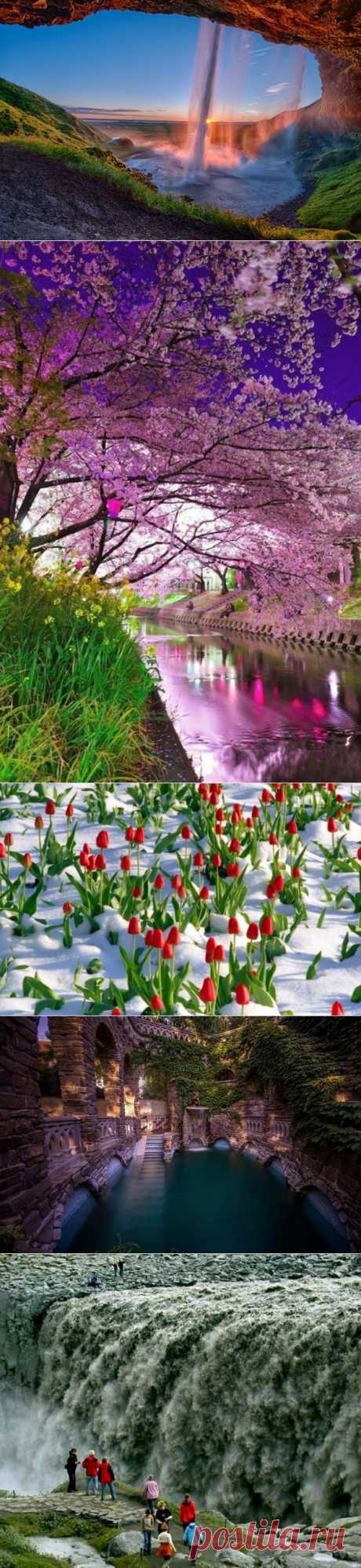 Подборка лучших фотографий из сети за месяц! - Selection of the best photos from a network in a month..