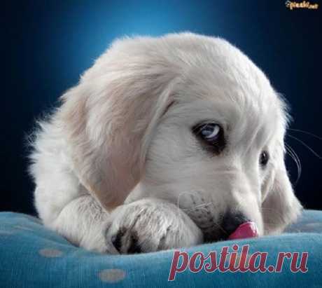 (8) Facebook