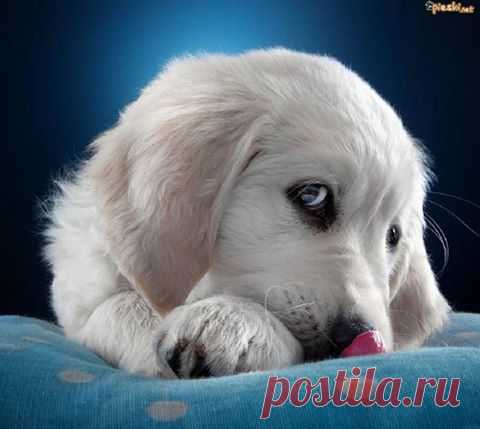 (8) Facebook