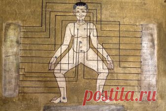 Карта тела: Как на уровне тела поменять жизнь - статьи, отзывы.