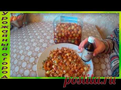 СУПЕР СРЕДСТВО ОТ ЛУКОВОЙ МУХИ!!!