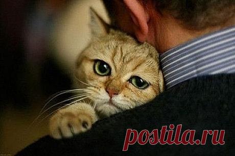 Главное, чтобы дома кто-то ждал…