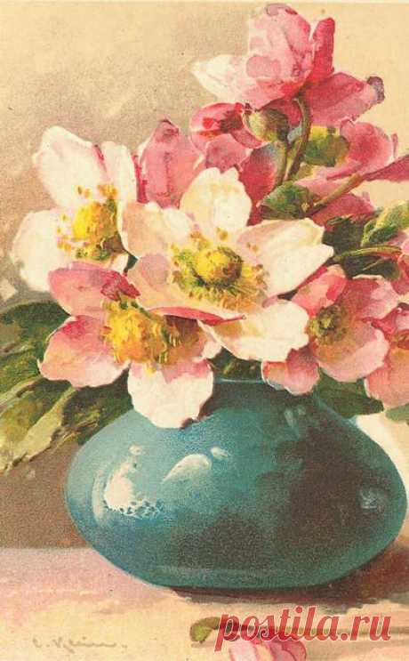 (723) Catherine Klein | WATERCOLOR