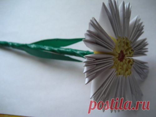Готовимся к 8 Марта! Модульное оригами схема сборки цветов