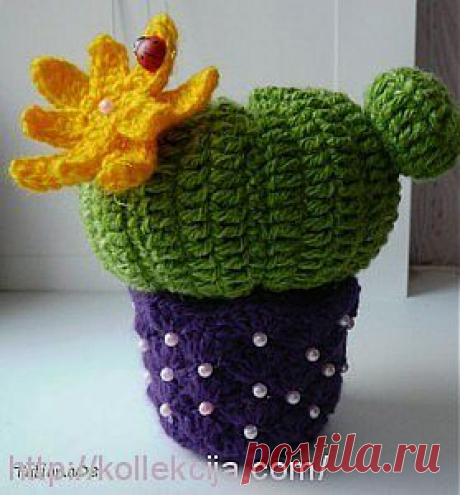 Вязаный кактус. (схема)