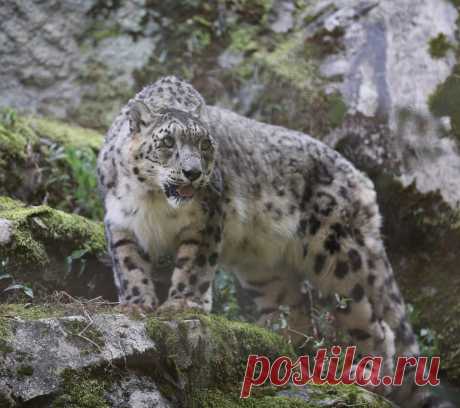 Valdemar-Tama Zoo Japan Explore bouchakame's photos on Flickr. bouchakame has uploaded 769 photos to Flickr.