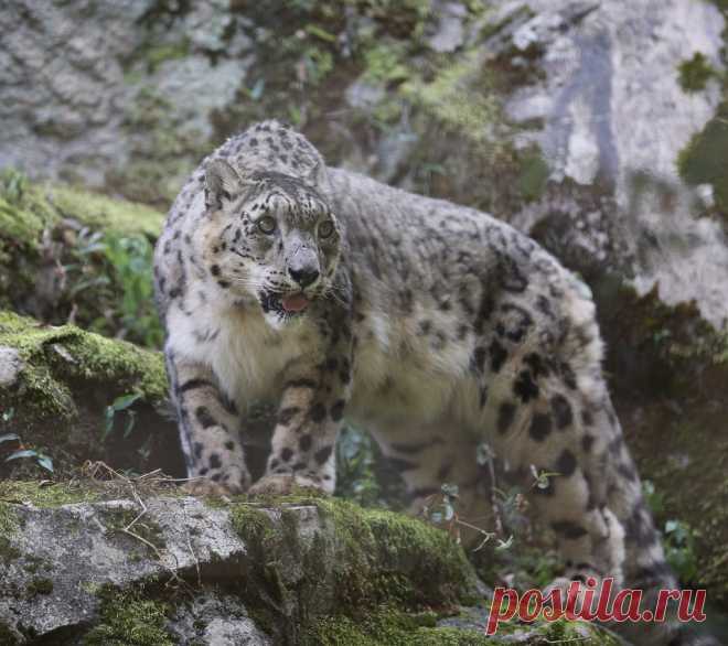 Valdemar-Tama Zoo Japan Explore bouchakame's photos on Flickr. bouchakame has uploaded 769 photos to Flickr.