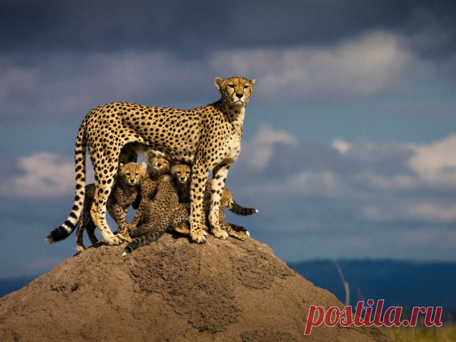 20 лучших фотографий, которые покорили нас в 2015 году