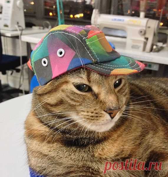 Mini 5 Panel Hat for cats dogs or dolls от ZipperTeethShop на Etsy