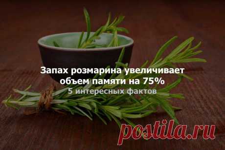 Без комментария
