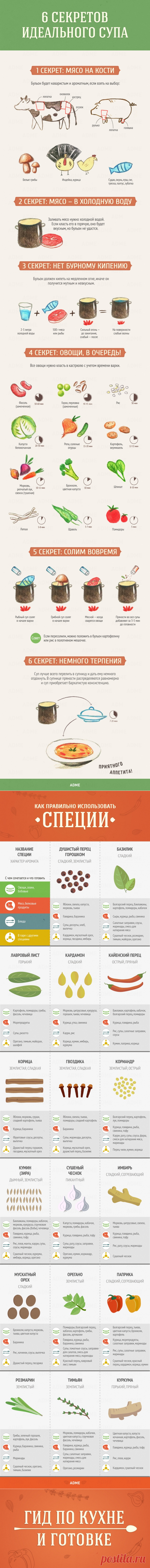 Гид по кухне и готовке