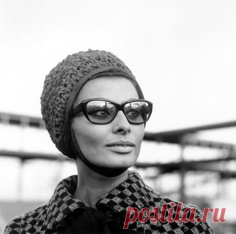 The special edition: Sophia Loren: humus — ЖЖ