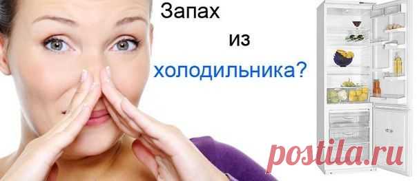 Как убрать запах из холодильника