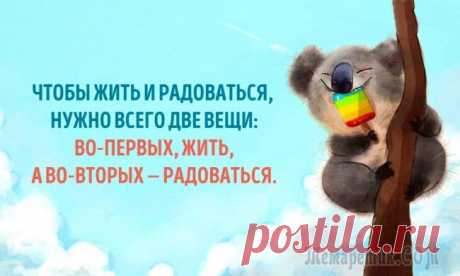Мы изо всех сил пытаемся быть счастливыми. Хватит