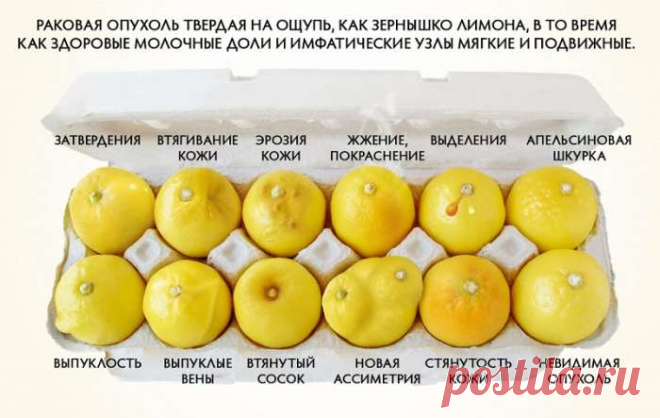 Эти 6 продуктов способны предотвратить рак молочной железы! Лучшая профилактика, известная мне… — Домашний уют