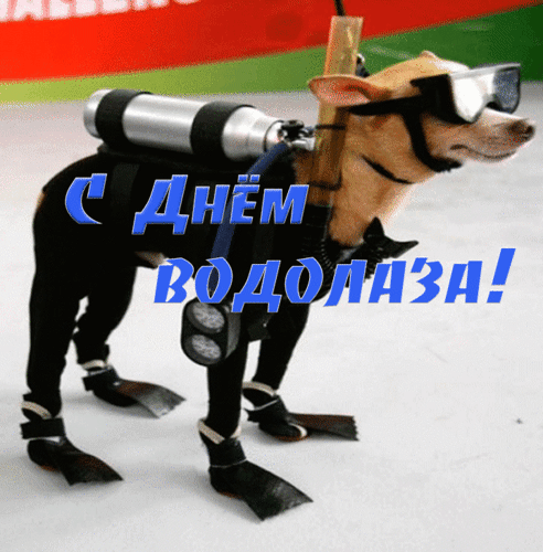 Дорогие ребята! От всей души поздравляем вас с профессиональным праздником — Днём Водолаза. Ваша служба — опасное, но необходимое обществу дело, которое вы достойно выполняете. Открытки на День водолаза!
