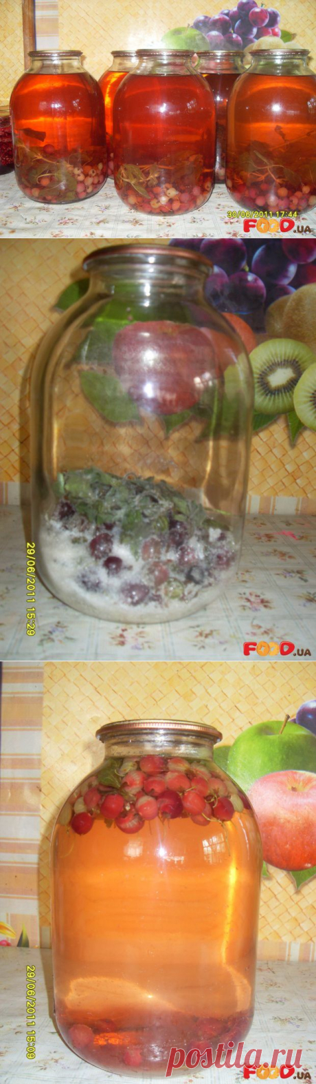 Кампот из крыжовника «Тархун» - Кулинарные рецепты на Food.ua