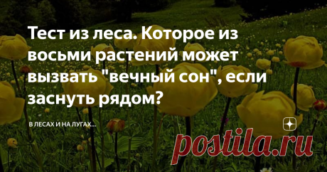 Тест из леса. Которое из восьми растений может вызвать "вечный сон", если заснуть рядом? Всем привет! У меня для вас новый ботанический тест. Ниже расположены фотографии восьми растений. Предлагаю вам найти среди них одно, которое может вызвать сильнейшее отравление, если надышаться его испарениями. Под первыми фотографиями, которые видно сразу, я намеренно не делаю подписи, но они есть внутри галерей - чтобы увидеть ответы, фотографии нужно листать в сторону. Но вы же не ...
