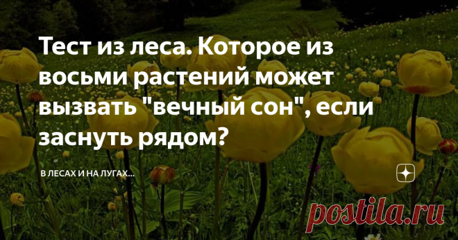 Тест из леса. Которое из восьми растений может вызвать 