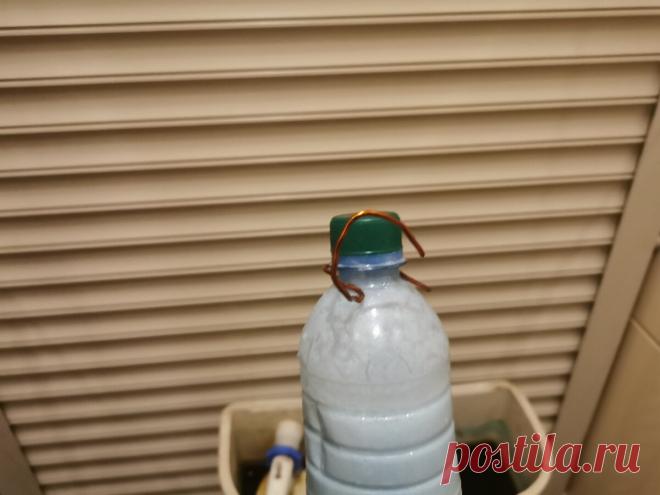 Спросила сантехника, можно ли лить кондиционер в бачок. Он засмеялся и дал дельный совет. В санузле всегда приятный аромат | Посад | Яндекс Дзен