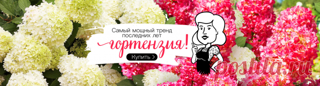 Семена и саженцы почтой от НПО Сады России (Сад и огород). Интернет-магазин посадочного материала.