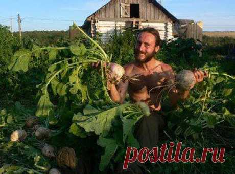 (99) Одноклассники
