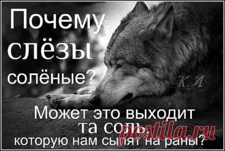 Золотые слова,,,,