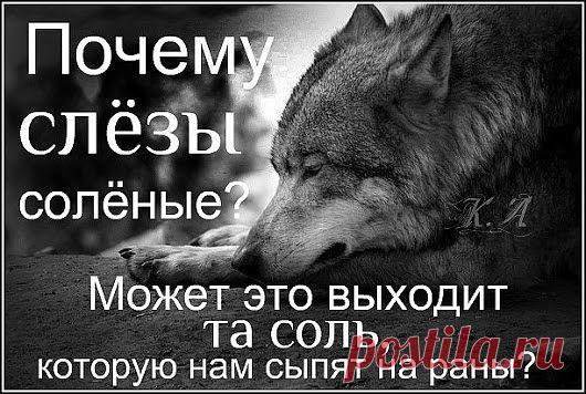 Золотые слова,,,,