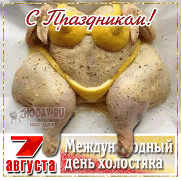 Эх, жизнь холостяцкая,
Хмельная да братская,
Рванём ка, тельняшки с груди,
Свободные, довольные
ХОЛОСТЯКИ!