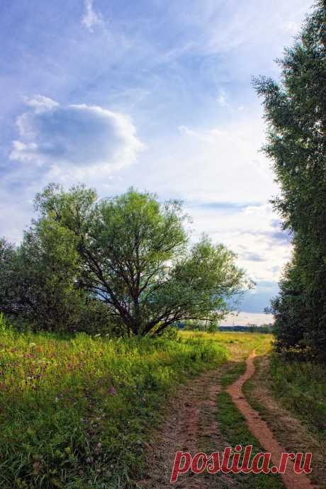 Фото Фестиваль славянской культуры!. Альбом Фестиваль славянской культуры! - 28 фото. Фотографии Татьяна Короткова.