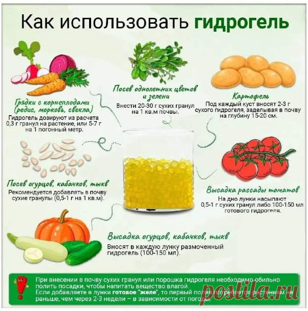 Использование гидрогеля садоводами
На заметку