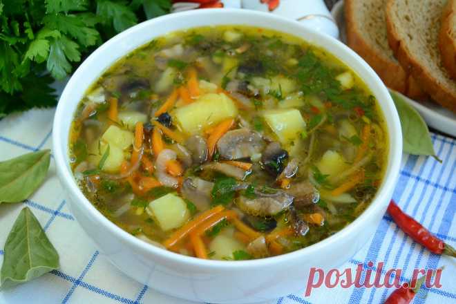 Грибная похлебка - вкусный и ароматный суп на скорую руку Грибная похлебка - это невероятно ароматный, вкусный и очень простой в приготовлении вариант грибного супа на скорую руку. Пошаговый рецепт с фото.