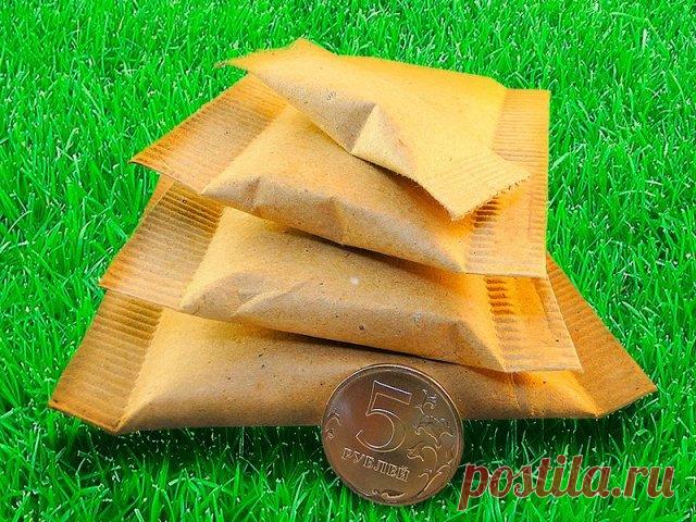 Дача выходного дня: что нужно помнить, если хотите остаться с урожаем | Полезно (Огород.ru)