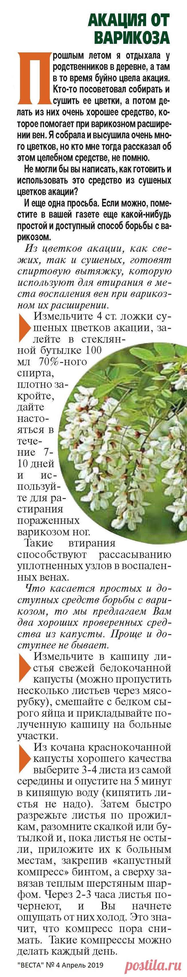 Акация и капуста от варикоза