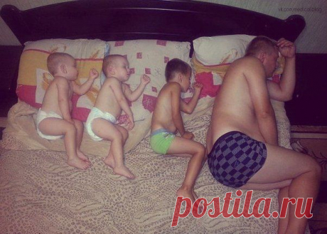 Вот что значат гены