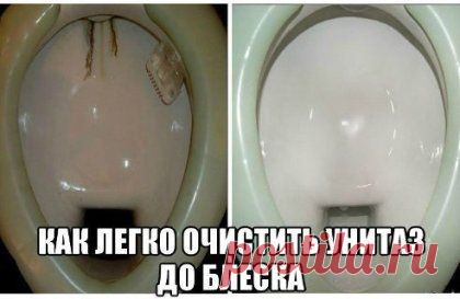 Как очистить унитаз от камня своими руками