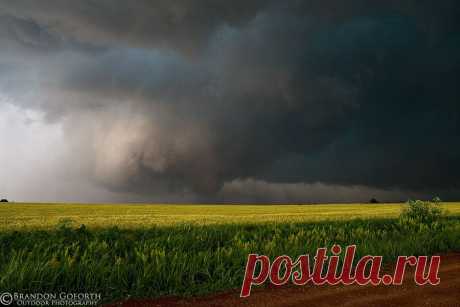 500px / Marshall Monster by Brandon Goforth