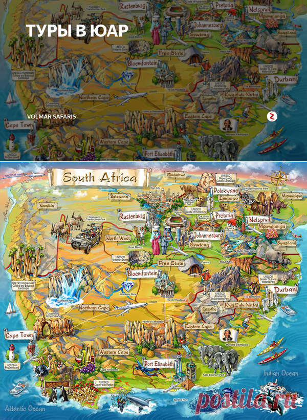 ТУРЫ В ЮАР | Volmar Safaris | Яндекс Дзен