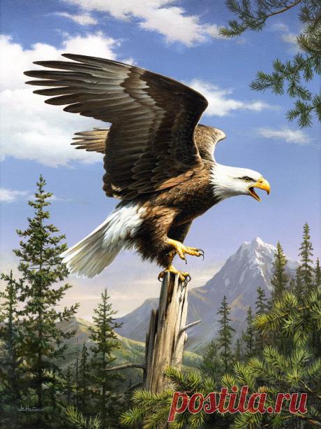 Набор для алмазной живописи Screaming Eagle (доставка 2-4 дня) – Раскрась бриллиантами