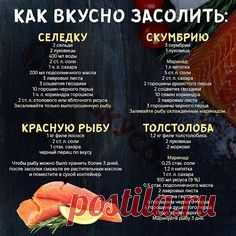 (1100) Pinterest