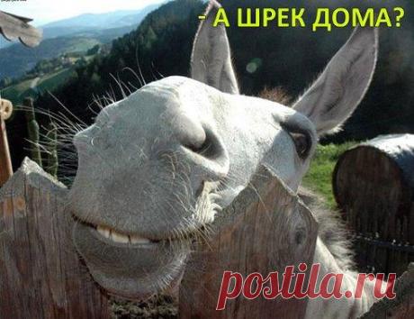 Лилия Советкина | ВКонтакте