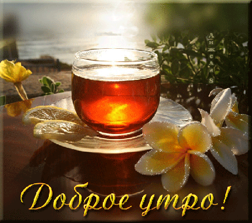 Доброе утро, хорошего дня,
Целую тебя, обнимаю любя.