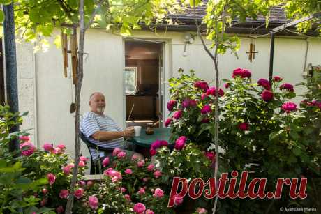 Было-стало. Ремонт и реконструкция дома: выход в сад и открытая терраса | Дневник отчаянных пенсионеров | Яндекс Дзен