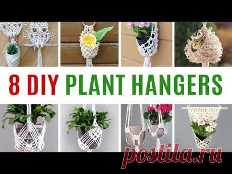 8 DIY Macrame Plant Hangers | Plant hanging ideas - YouTube