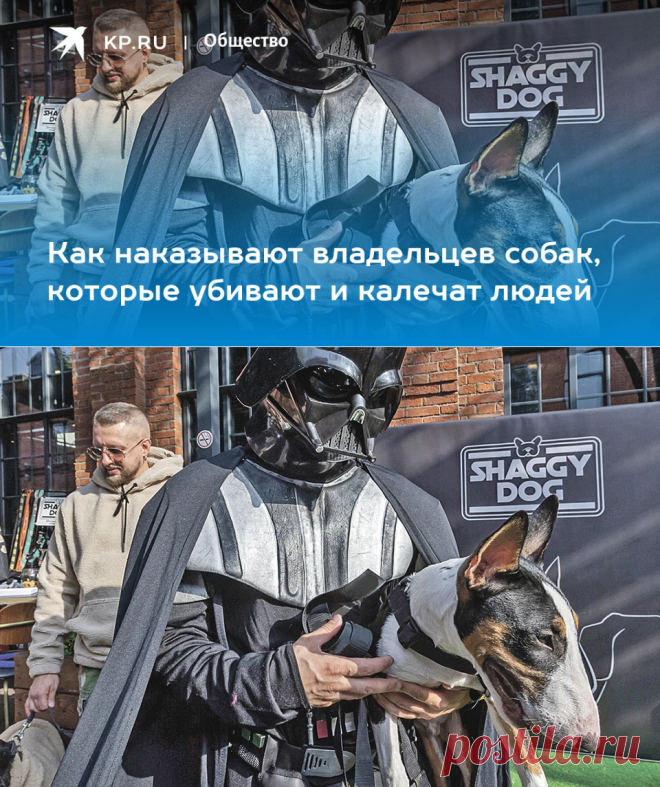 2023-Как наказывают владельцев собак, которые убивают и калечат людей - KP.RU
