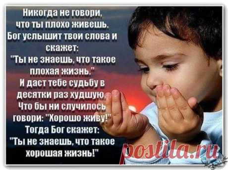 (27) Одноклассники